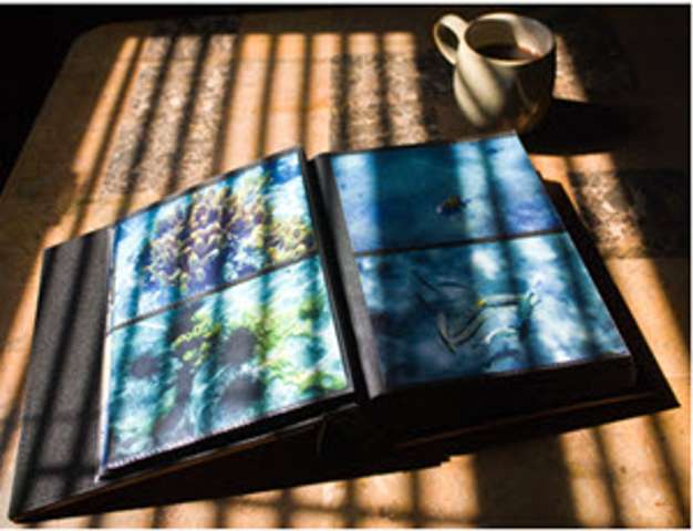 On the Good Old-fashioned Photo Album